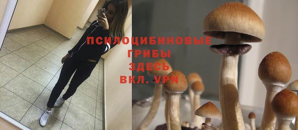 мескалин Балахна