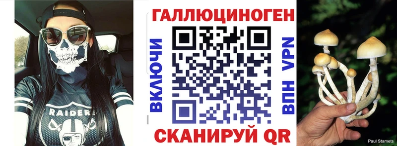 купить наркотик  omg ссылка  Псилоцибиновые грибы Psilocybine cubensis  Лениногорск 